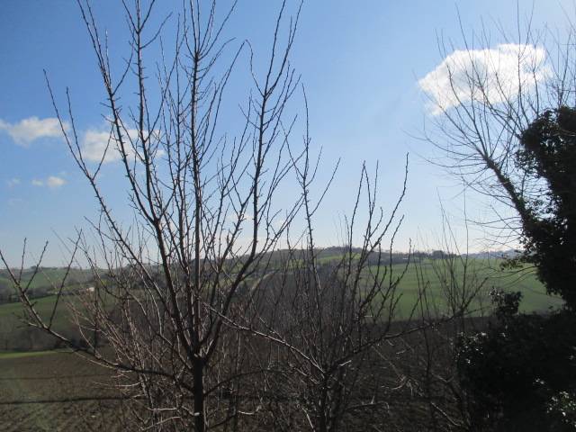  - foto 4