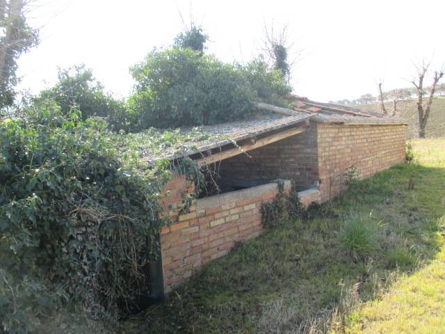  - foto 6