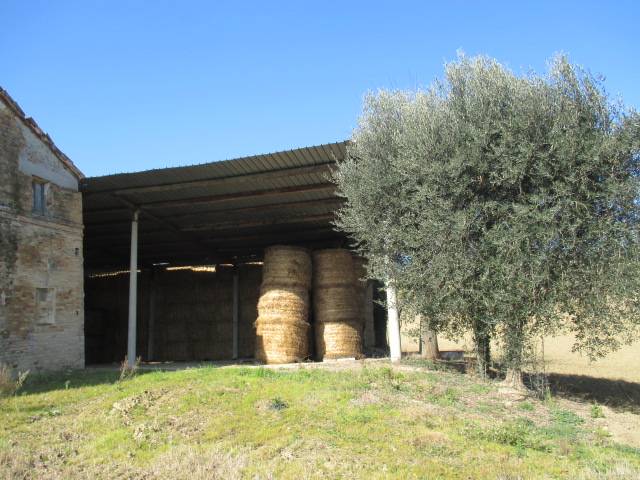  - foto 7