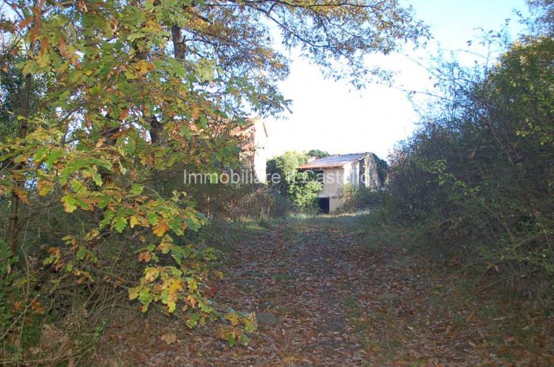Rustico Piegaro, Piegaro