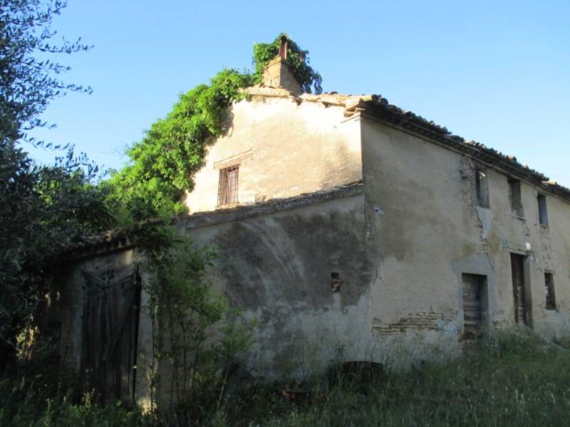  - foto 5
