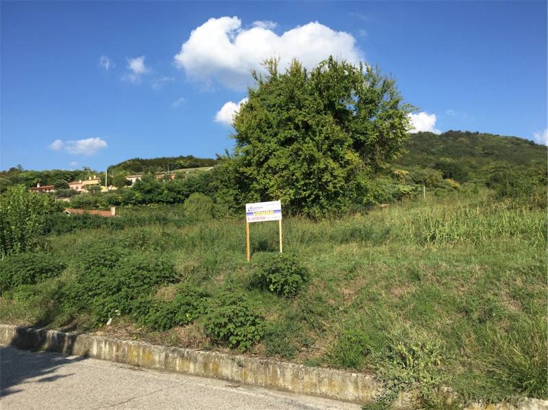 Altro Valbona, Lozzo Atestino