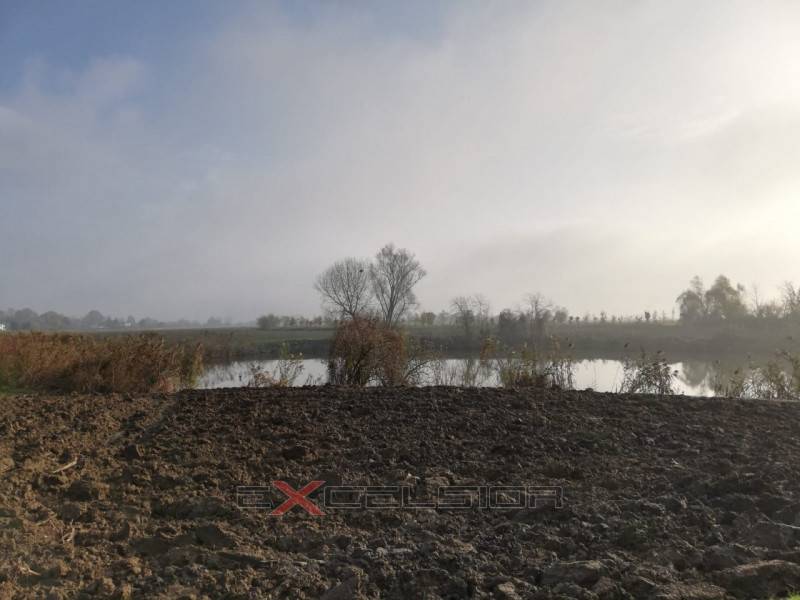 Terreno agricolo Boscofondi, Pettorazza Grimani