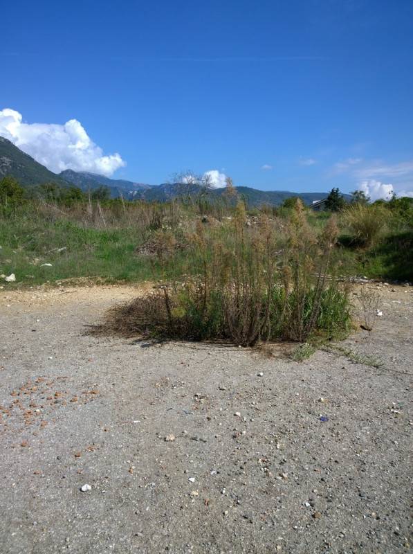  - foto 3
