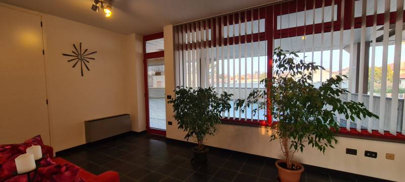  - foto 6