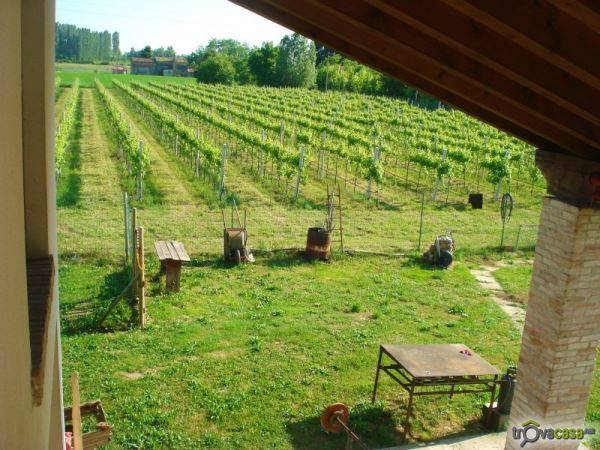Altro Casale Sul Sile, Casale sul Sile