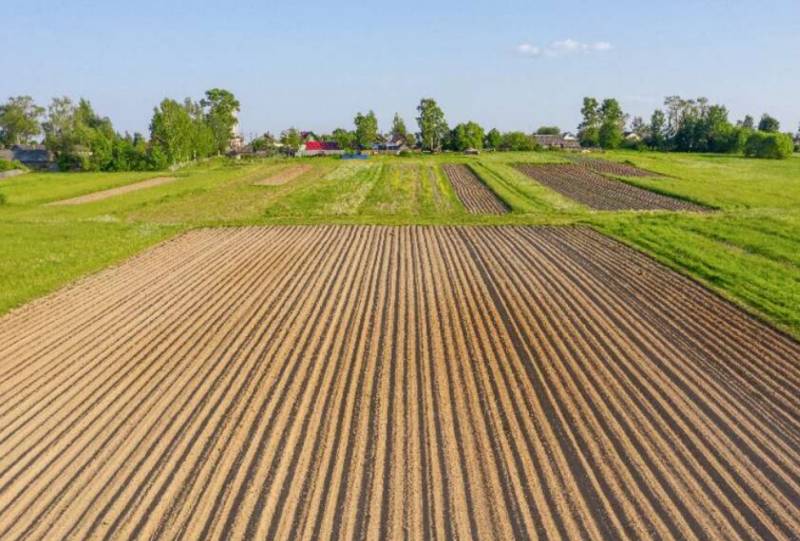 Terreno agricolo Fornaci, San Giovanni Valdarno