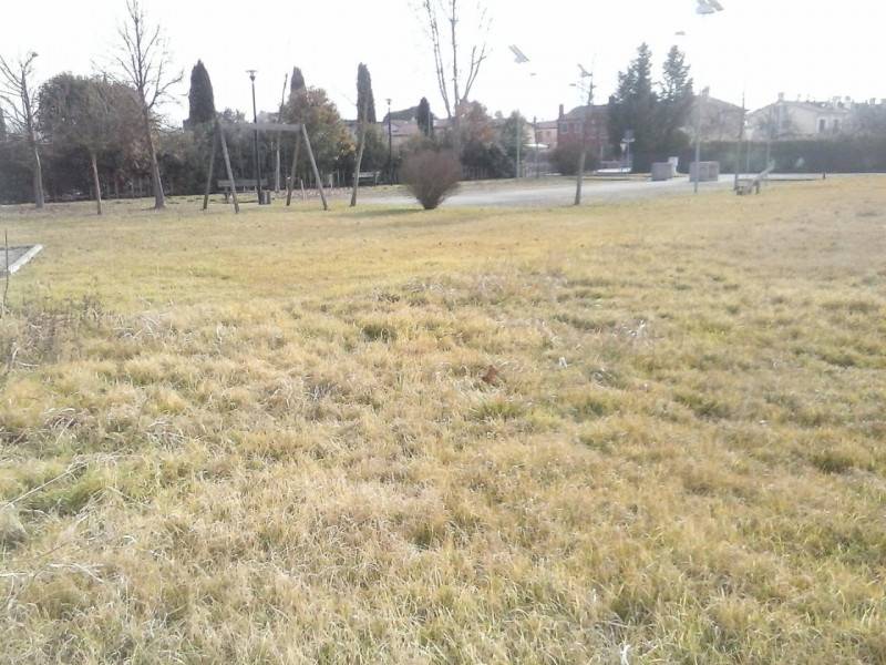 Altro San Giacomo di Musestrelle, Carbonera