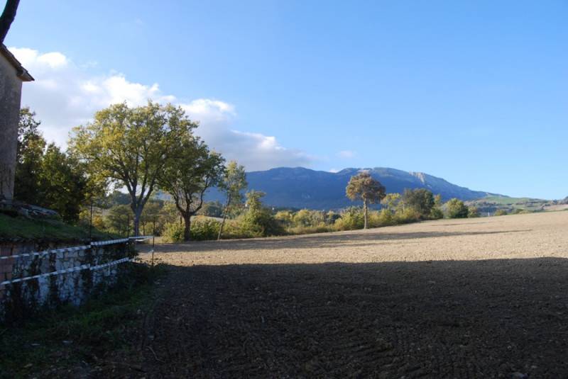  - foto 10