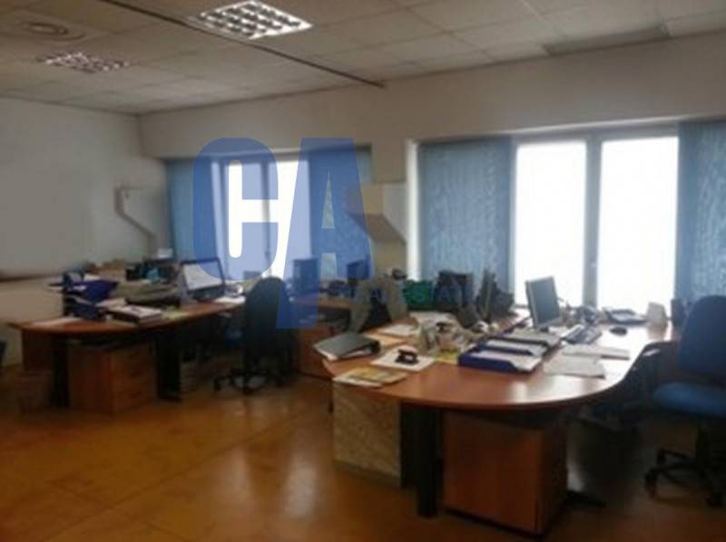  - foto 3