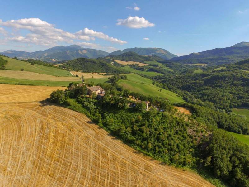 Rustico Cagli, Cagli