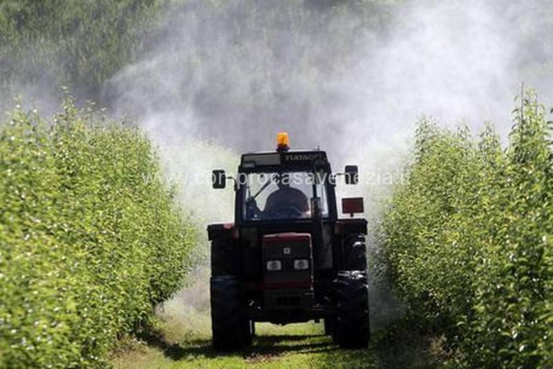 Terreno agricolo Casale Sul Sile, Casale sul Sile