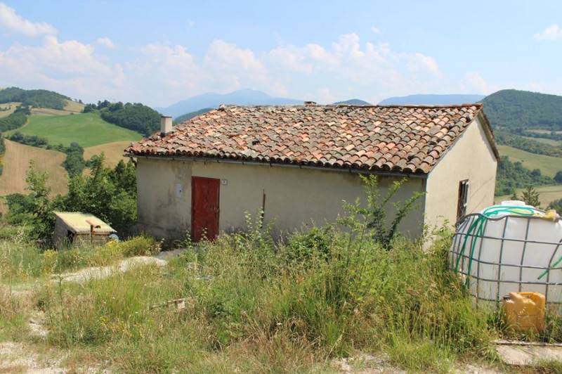 Altro Abbadia di Naro, Cagli