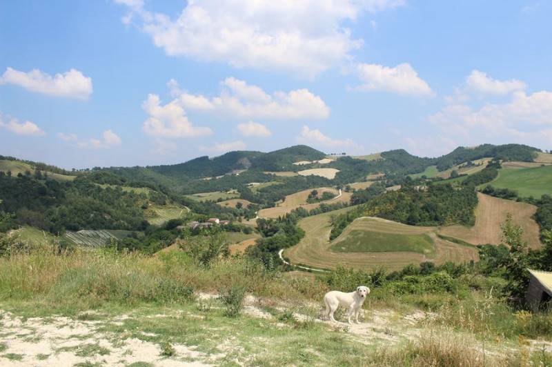  - foto 10