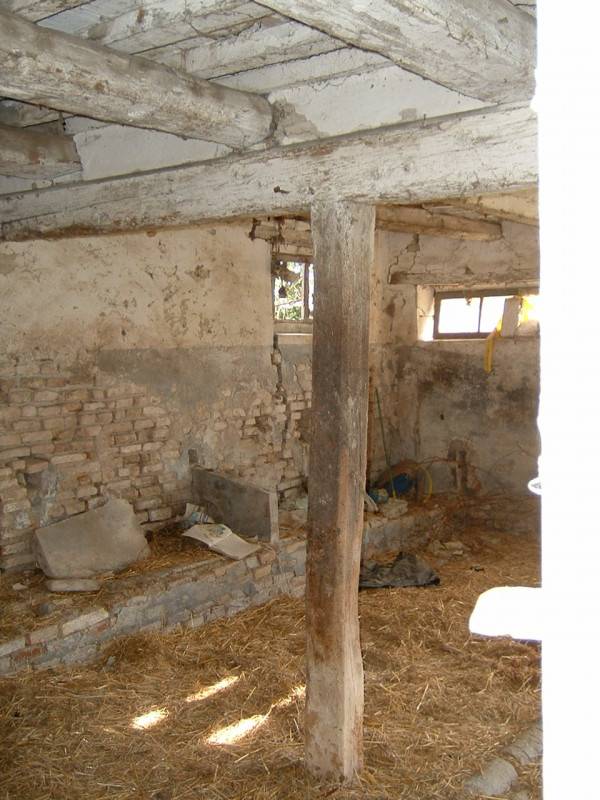  - foto 3