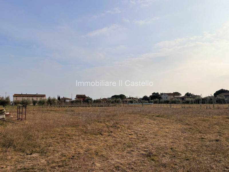 Altro Castiglione del Lago, Castiglione del Lago