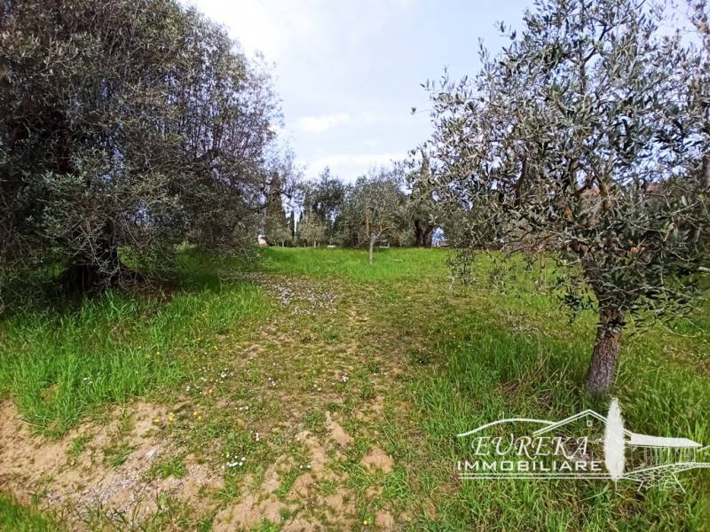 Altro Gioiella, Castiglione del Lago