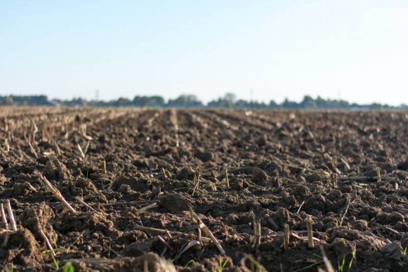 Terreno agricolo Megliadino San Fidenzio, Borgo Veneto