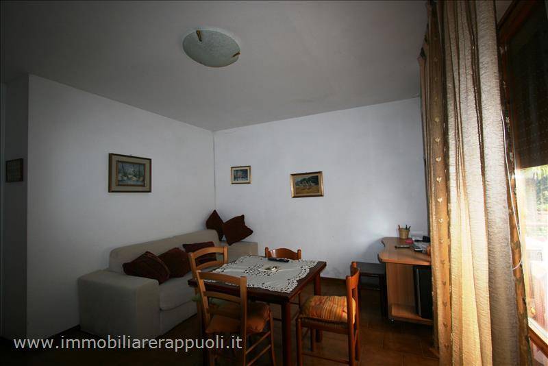  - foto 7