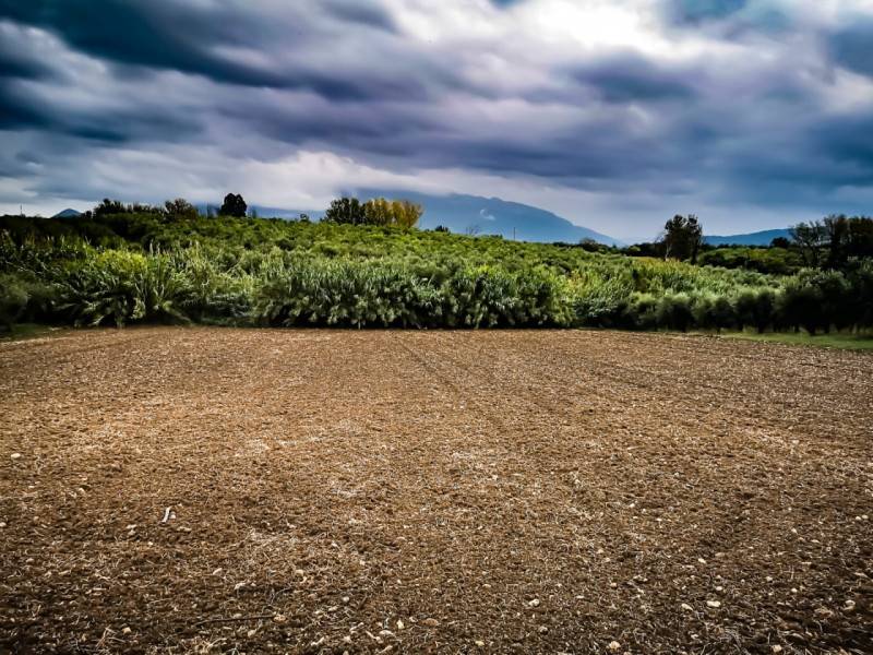 Terreno agricolo Eboli, Eboli