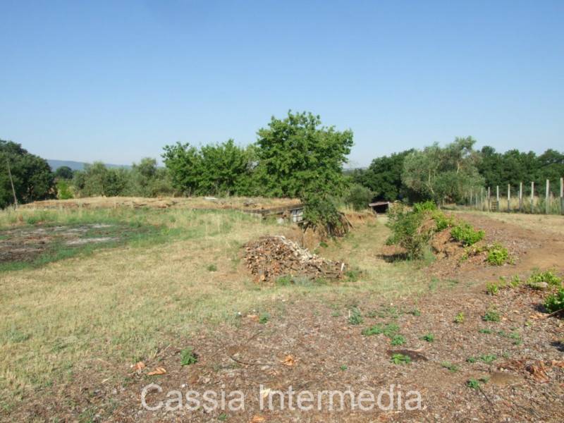 - foto 10