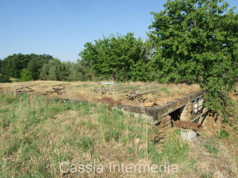  - foto 5