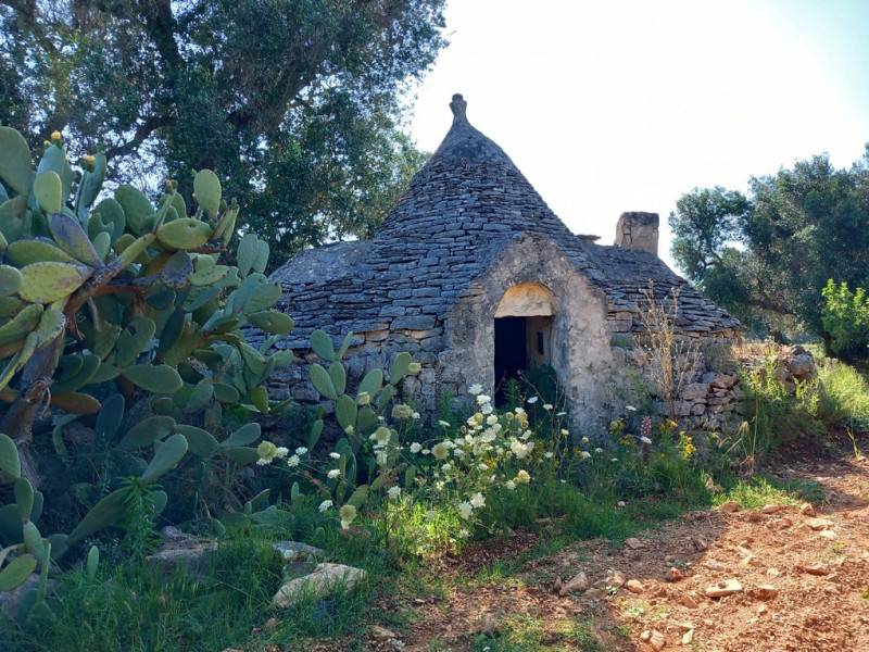 Rustico, Ceglie Messapica