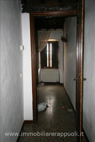  - foto 4
