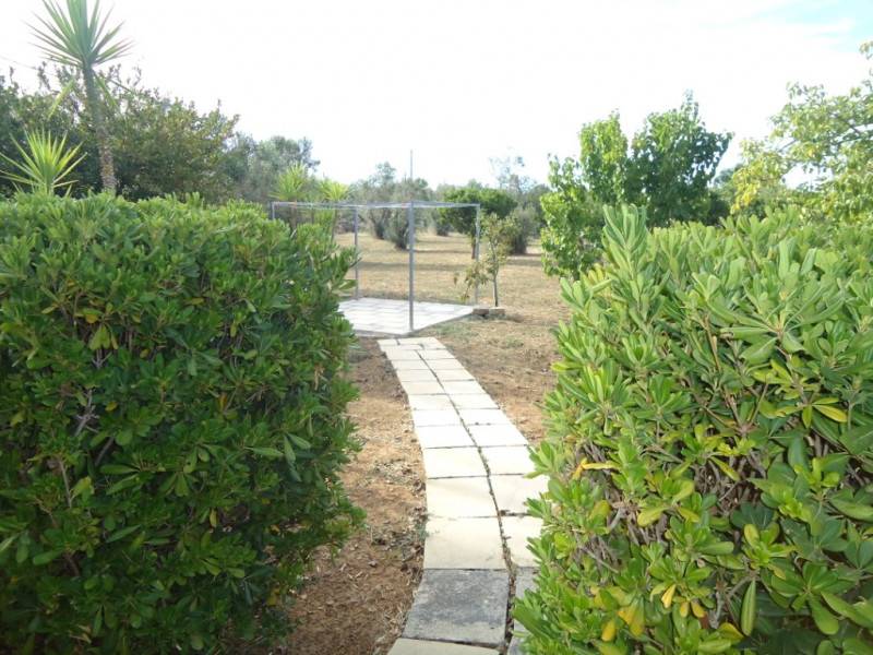 - foto 3