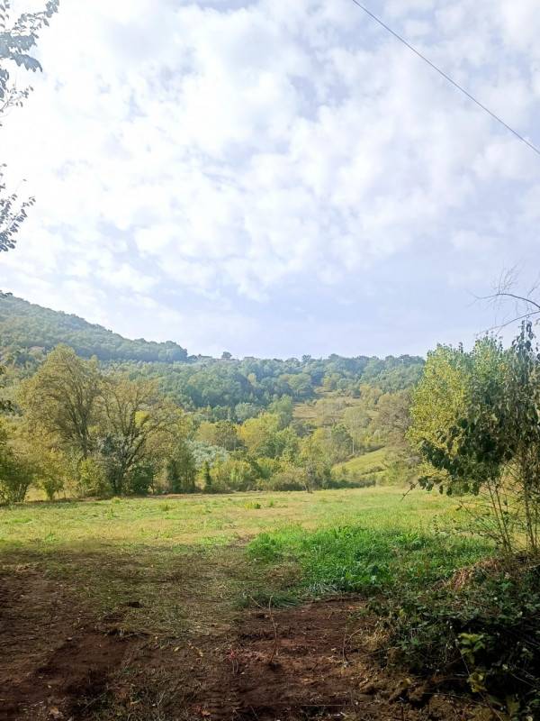 Terreno agricolo Schito, Broccostella