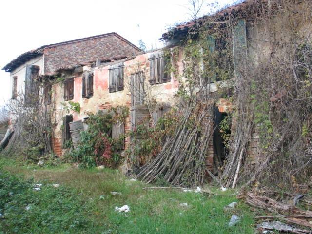 Rustico Borgoricco, Borgoricco