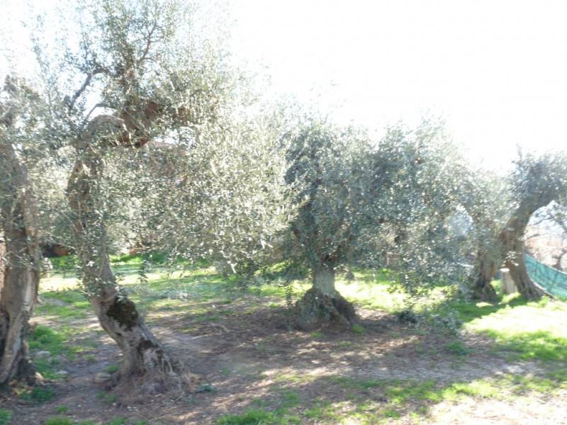  - foto 8
