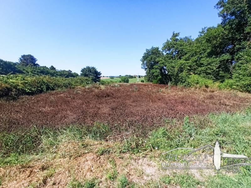 Altro Castiglione del Lago, Castiglione del Lago