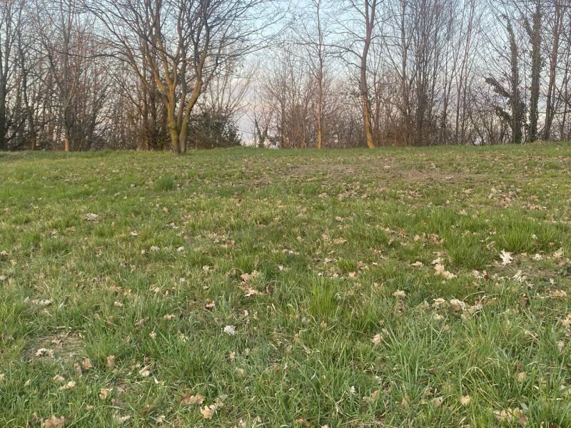 Altro Santa Croce, Nervesa della Battaglia