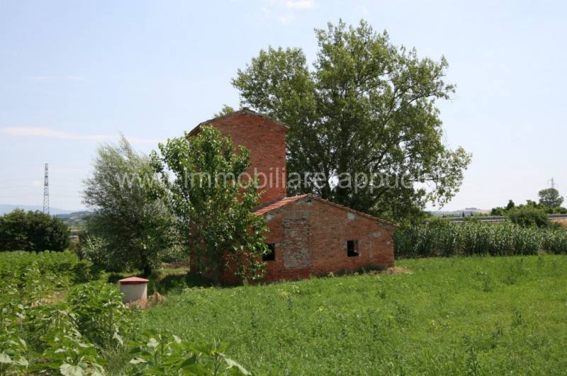  - foto 5