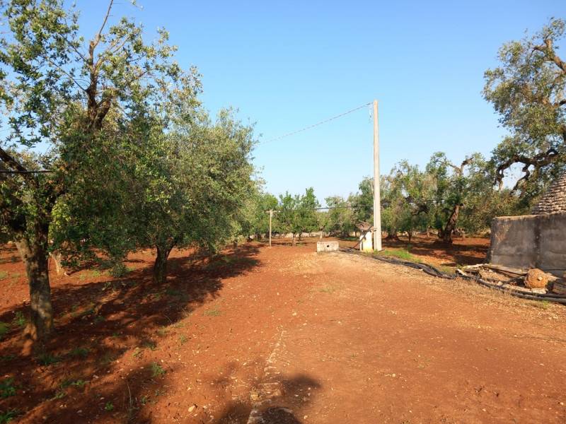  - foto 3