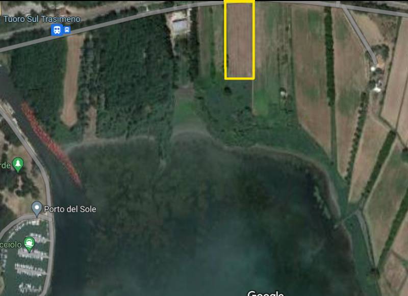 Terreno agricolo Tuoro Sul Trasimeno, Tuoro sul Trasimeno