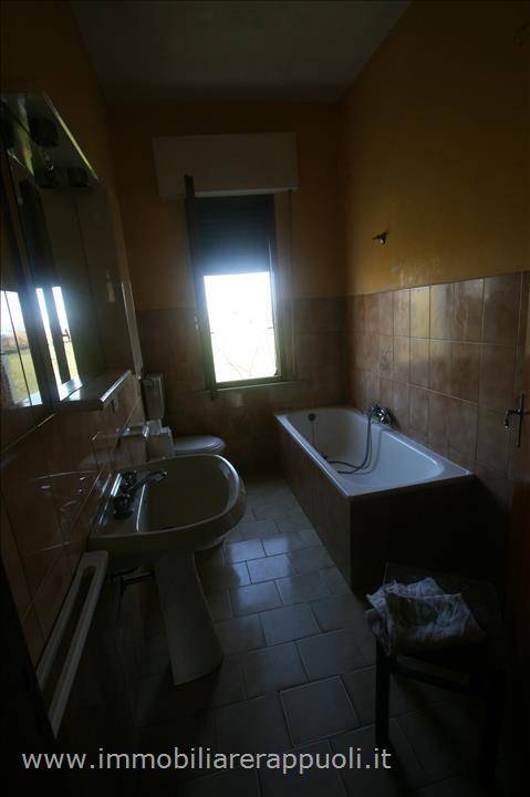  - foto 3