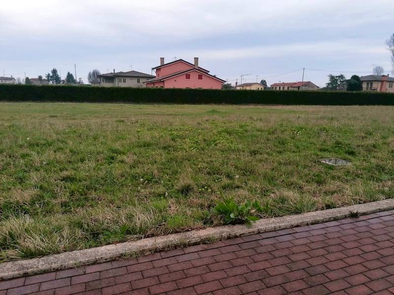 Altro Bojon, Campolongo Maggiore