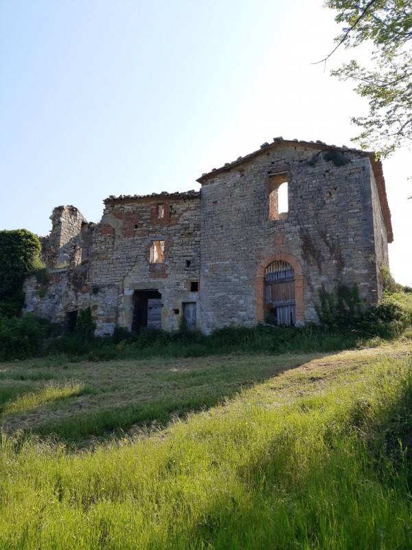  - foto 2