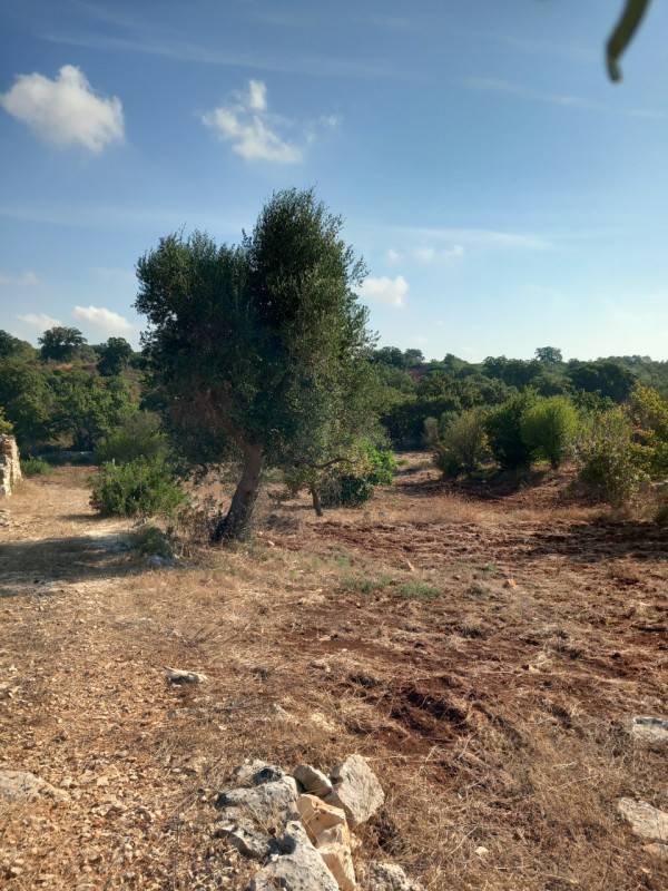  - foto 3