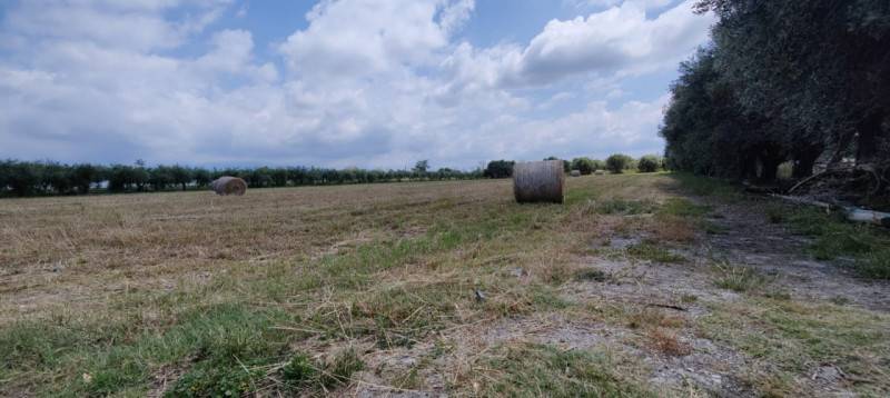  - foto 7