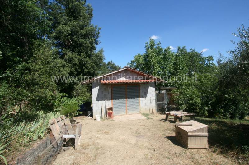  - foto 2