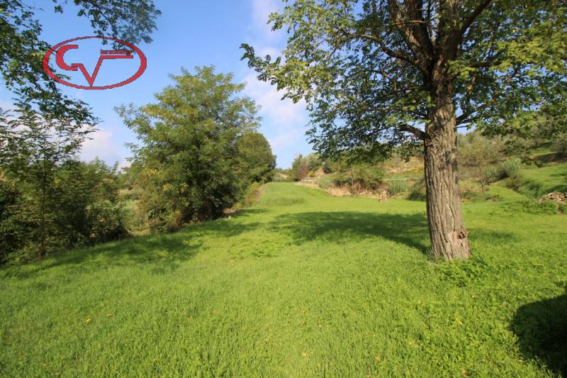  - foto 4