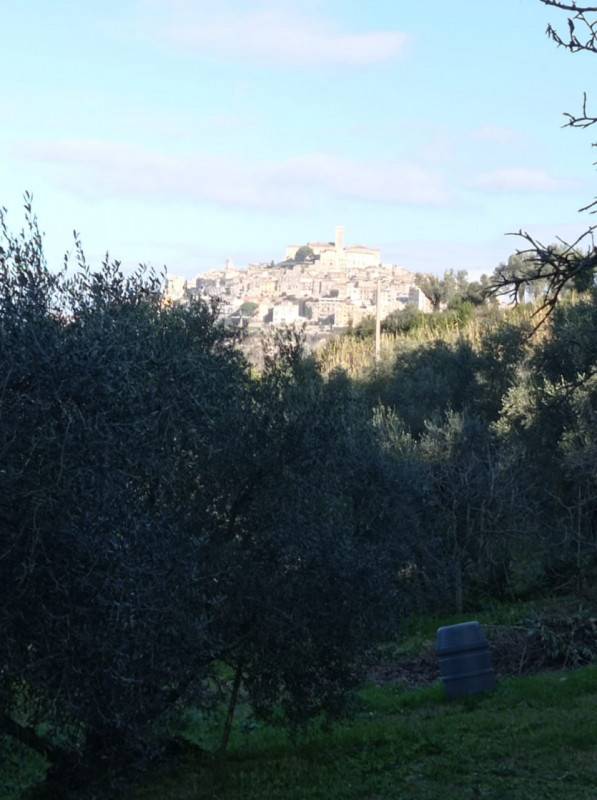 Terreno agricolo Palombara Sabina, Palombara Sabina