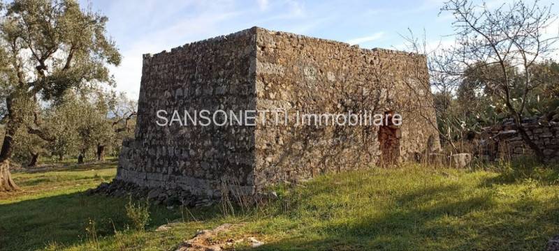  - foto 2