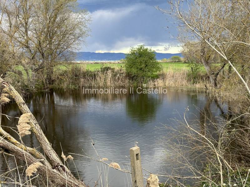 Terreno agricolo Panicarola, Castiglione del Lago
