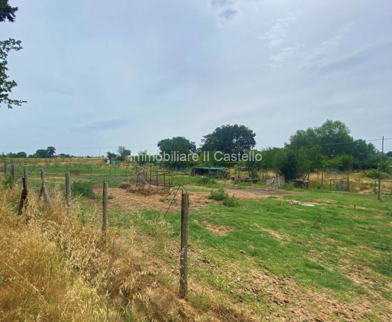 Terreno edificabile Castiglione del Lago, Castiglione del Lago
