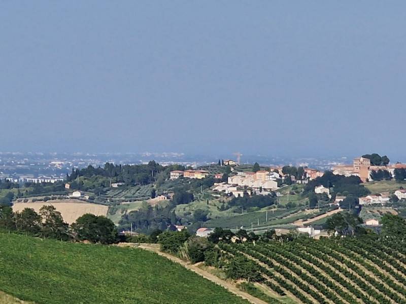 Altro Madonna dell 'Olivo, Cesena
