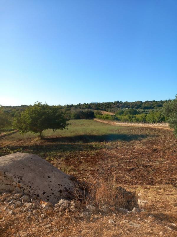  - foto 10